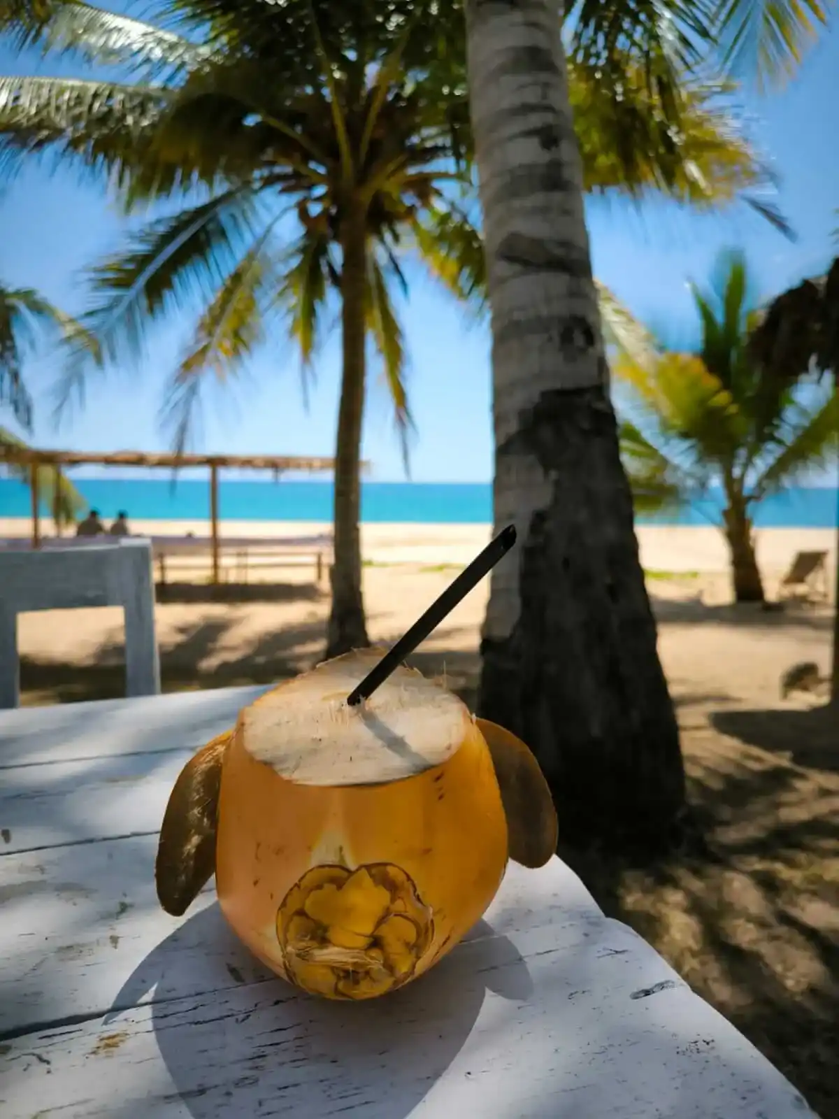 Plat typique malgache